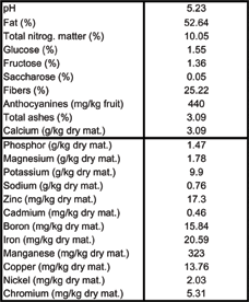 acai nutritients