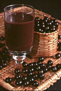 Fruta Vida International with acai, yerba mate, and capuacu.